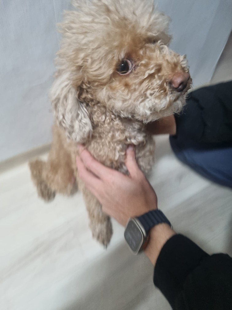 군위종합동물병원_427514202400135